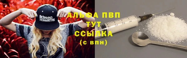 прущие грибы Аркадак