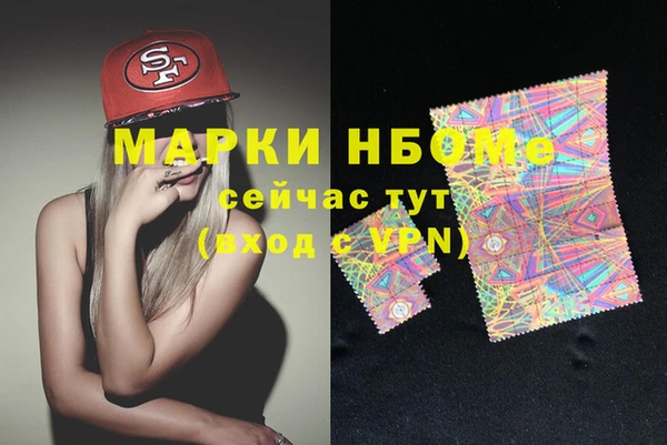 прущие грибы Аркадак