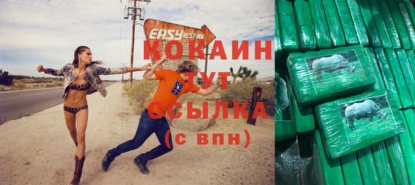 прущие грибы Аркадак