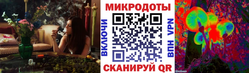 Галлюциногенные грибы MAGIC MUSHROOMS  где можно купить наркотик  Шацк 